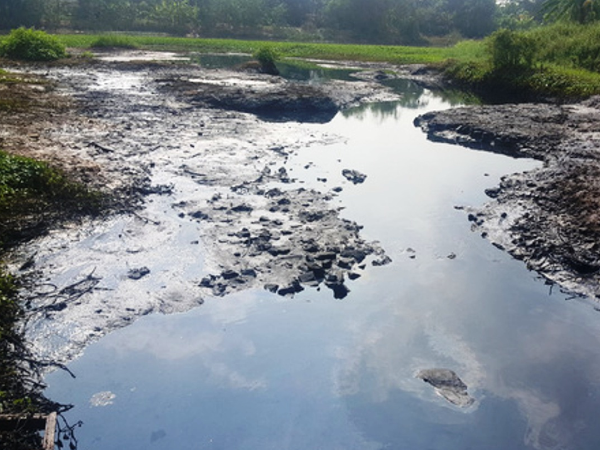 Báo động ô nhiễm trầm trọng nguồn nước sông tại Hà Nội