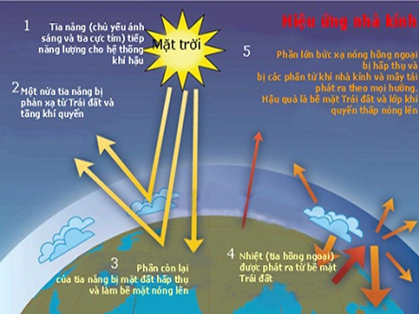 Bạn có biết hiệu ứng nhà kính?