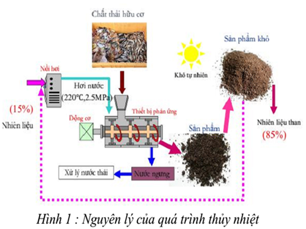 Xử lý rác thải sinh học bằng công nghệ thủy nhiệt