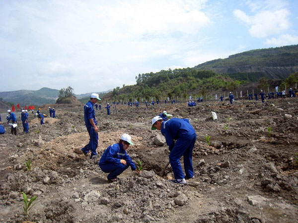 Tập đoàn Công nghiệp Than - Khoáng sản Việt Nam: Ưu tiên số 1 cho các dự án xử lý môi trường sau mưa lũ