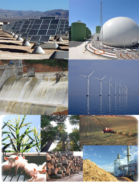 Chính sách và giải pháp thúc đẩy phát triển năng lượng tái tạo ở Việt Nam