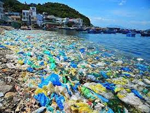 Thủ tướng Chính phủ ban hành Chỉ thị tăng cường quản lý, tái sử dụng, tái chế, xử lý và giảm thiểu chất thải nhựa