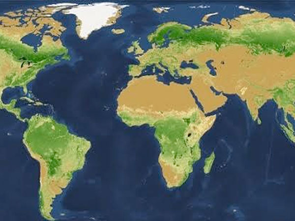 Thủ phạm triệt hạ phân nửa cây xanh trên Trái Đất