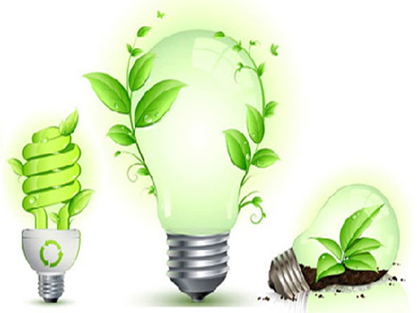 Phê duyệt Chương trình quốc gia về sử dụng năng lượng tiết kiệm và hiệu quả